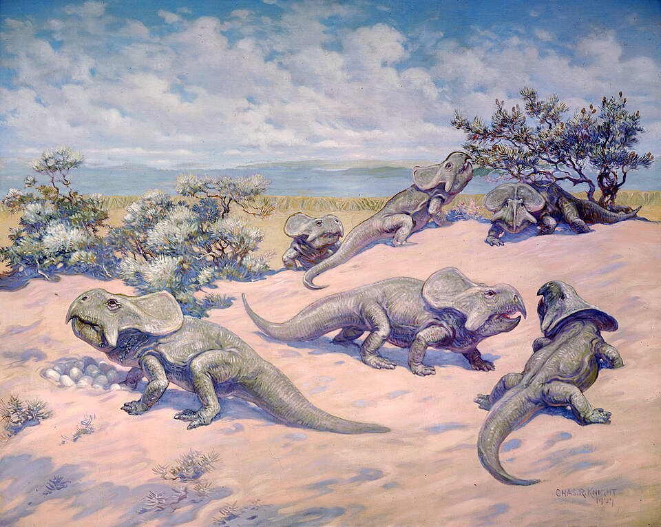 Charles R. Knight Nesting Protoceratops from Late Cretaceous - Canvas Print
