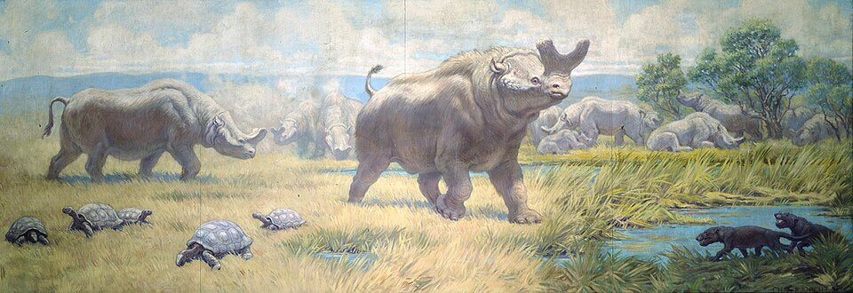 Charles R. Knight Titanotheres from Oligocene - Canvas Print