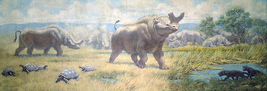 Charles R. Knight Titanotheres from Oligocene - Canvas Print