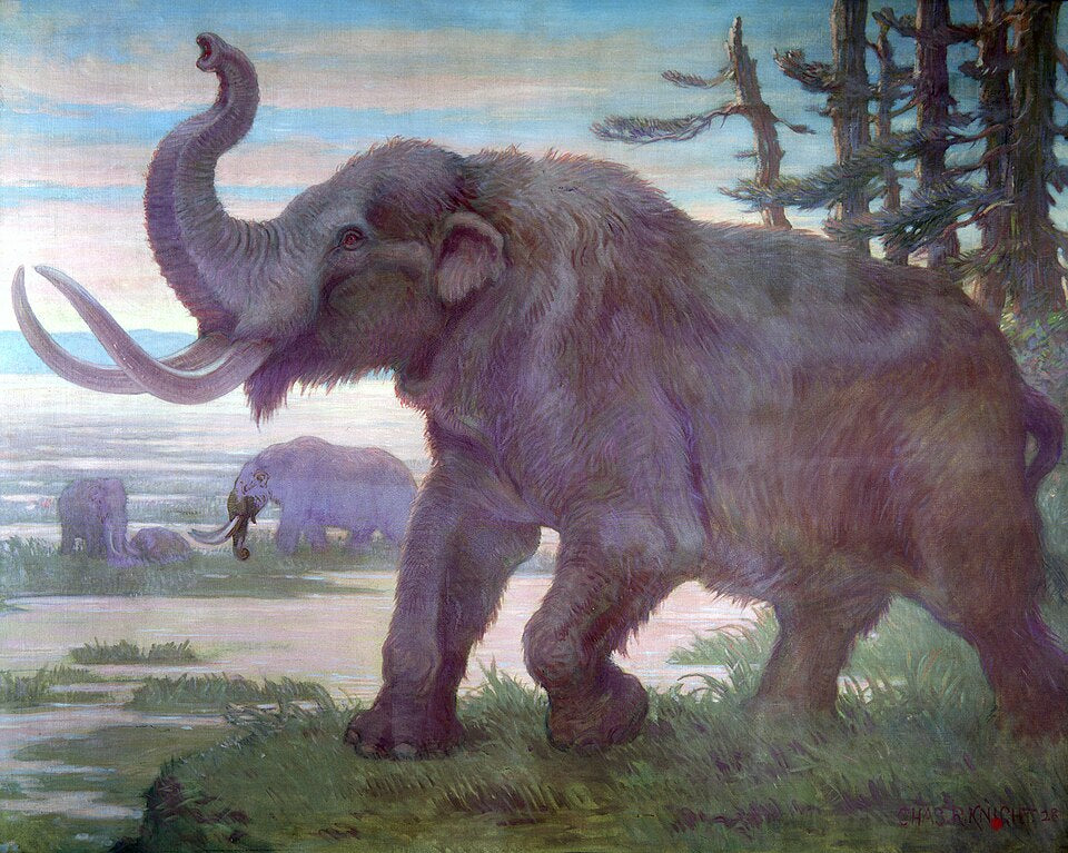 Charles R. Knight American mastodon from Cenozoic - Canvas Print
