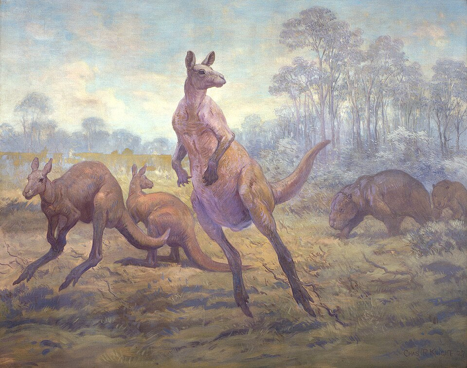 Charles R. Knight Palorchestes from Pleistocene - Canvas Print