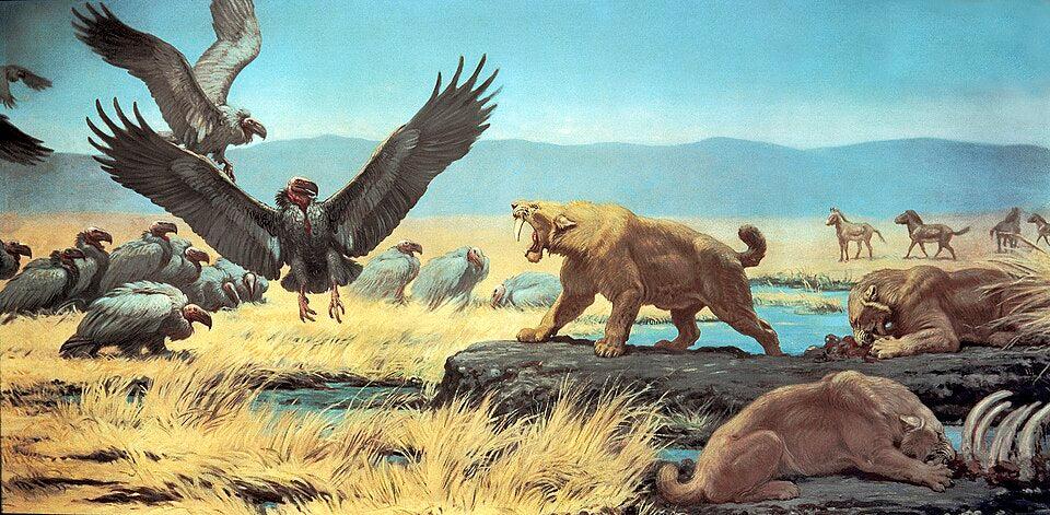 Charles R. Knight Rancho La Brea Tar Pools from Pleistocene - Canvas Print