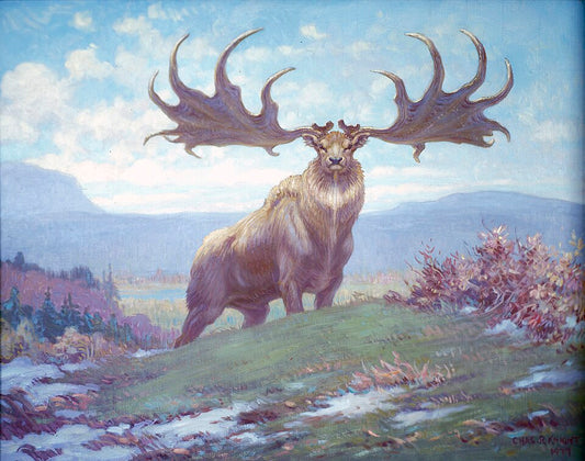 Charles R. Knight Megaloceros from Pleistocene - Canvas Print