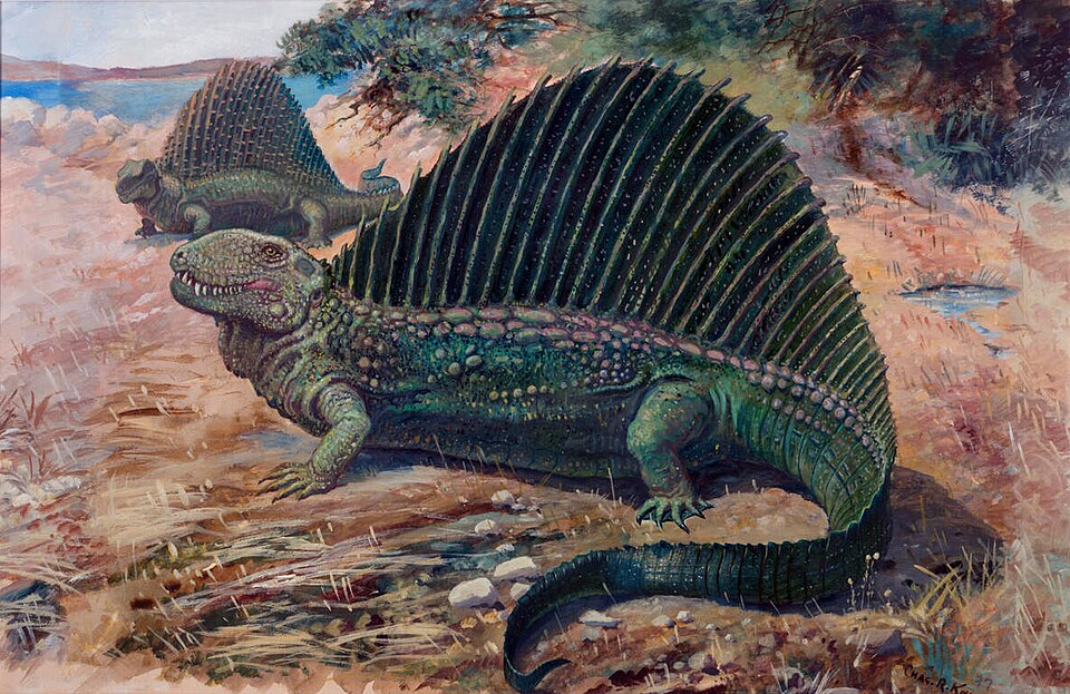 Charles R. Knight Dimetrodon - Canvas Print