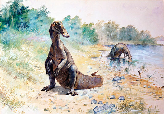 Charles R. Knight Hadrosaurus - Canvas Print