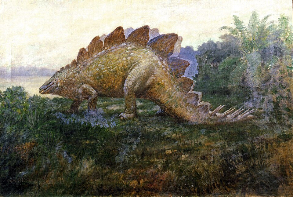 Charles R. Knight Stegosaurus 2 - Canvas Print