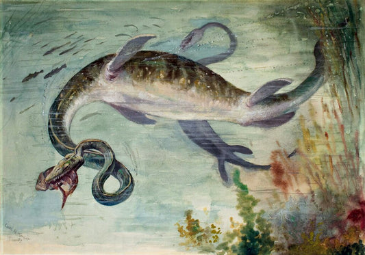 Charles R. Knight Snake-Necked Elasmosaurus - Canvas Print
