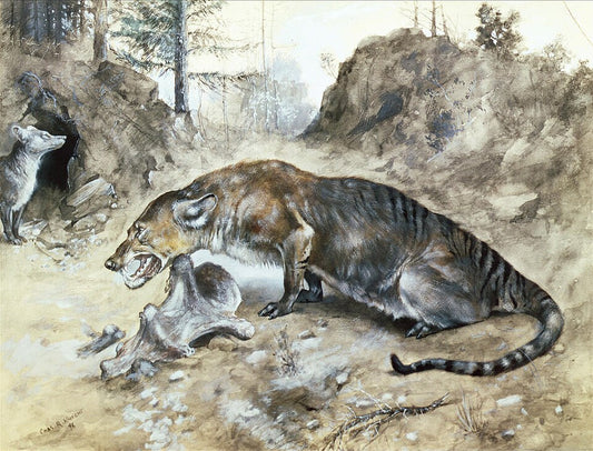 Charles R. Knight Mesonyx - Canvas Print