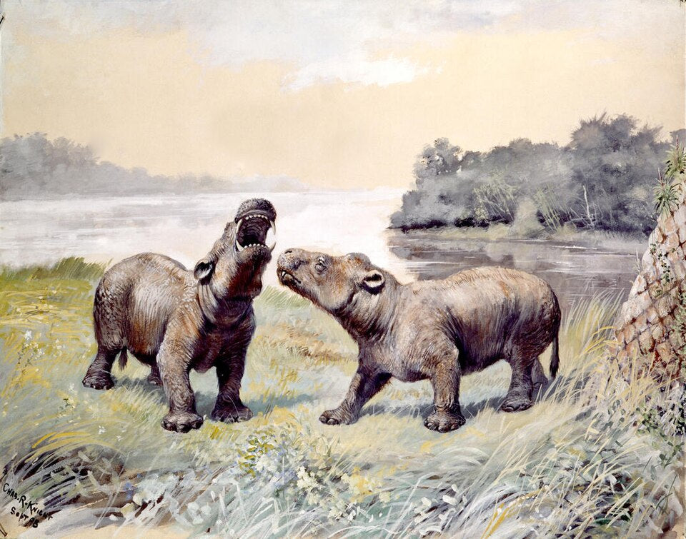 Charles R. Knight Coryphodon - Canvas Print