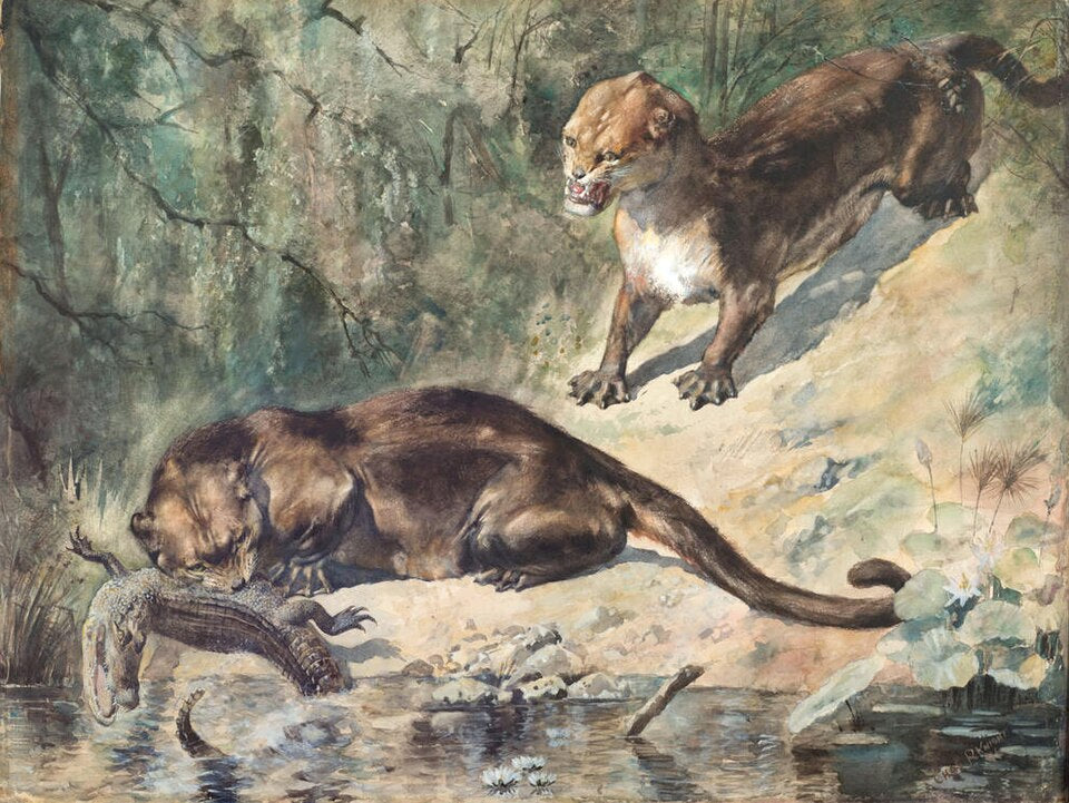 Charles R. Knight Patriofelis - Canvas Print