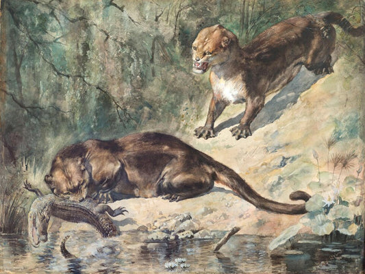 Charles R. Knight Patriofelis - Canvas Print