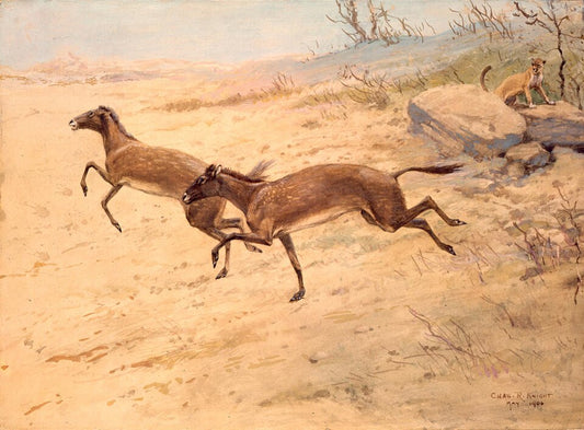 Charles R. Knight Mesohippus - Canvas Print