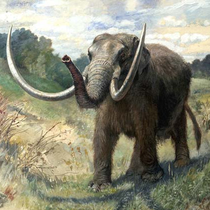 Charles R. Knight Mastodon - Canvas Print