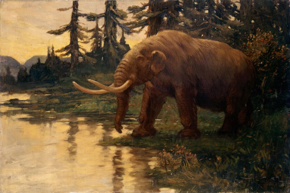 Charles R. Knight Warren Mastodon - Canvas Print