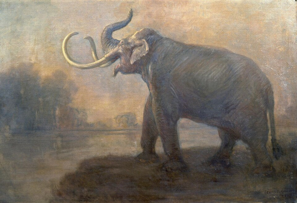 Charles R. Knight Imperial Mammoth - Canvas Print
