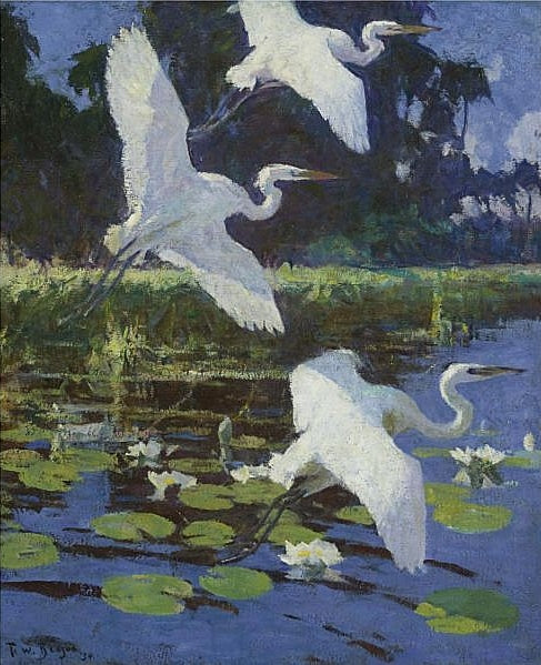 Frank Weston Benson Great White Herons - Canvas Print