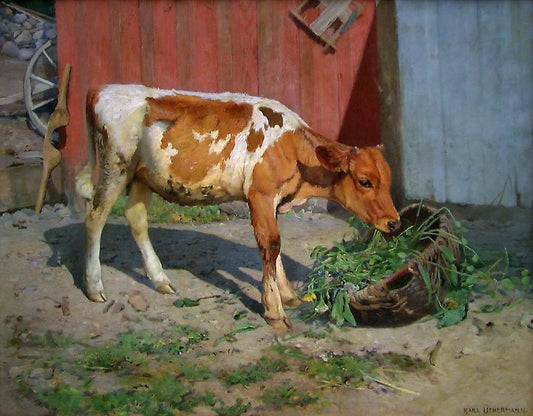 Karl Uchermann I Solveggen - Canvas Print