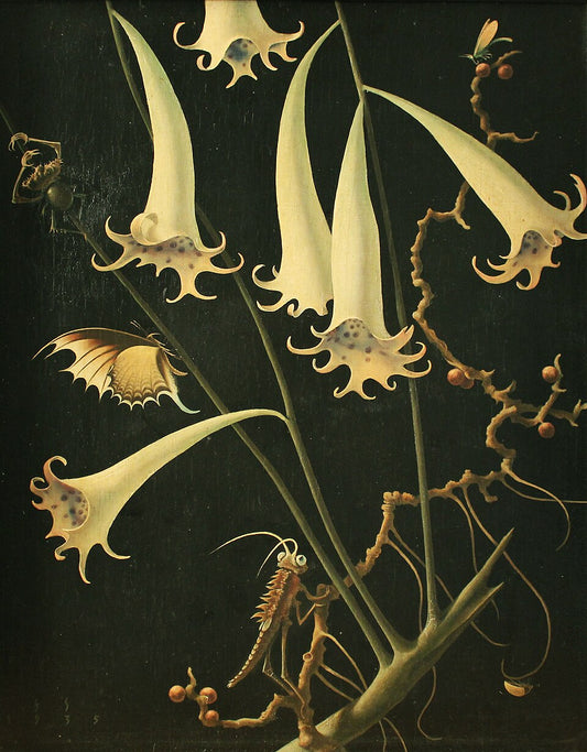 Franz Sedlacek Flowers and Insects - Canvas Print