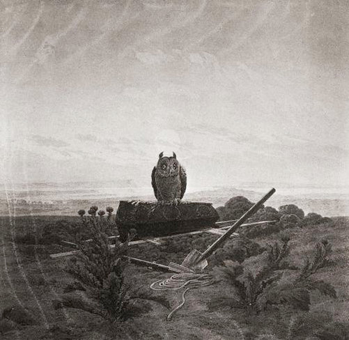 Caspar David Friedrich Landscape with Grave, Coffin and Owl - Canvas Print