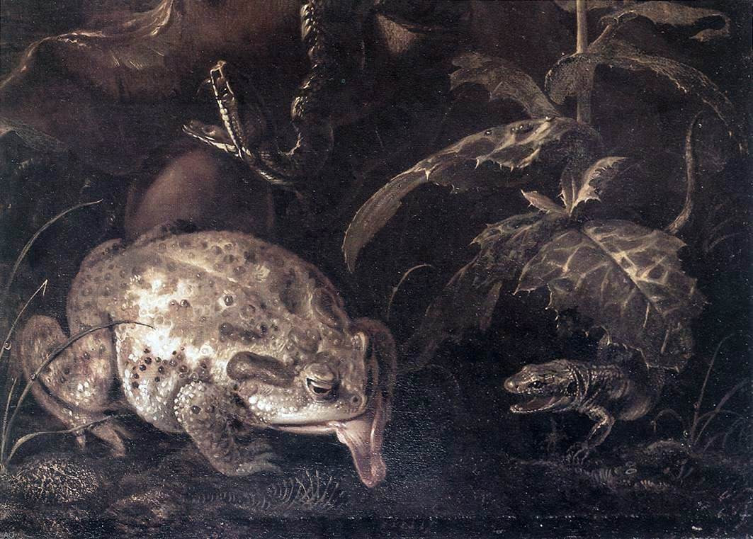  Otto Marseus Van Schrieck Still-Life with Insects and Amphibians (detail) - Canvas Print