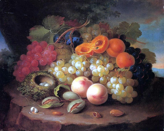  George Forster Still Life with Fruit and Bird's Nest - Canvas Print