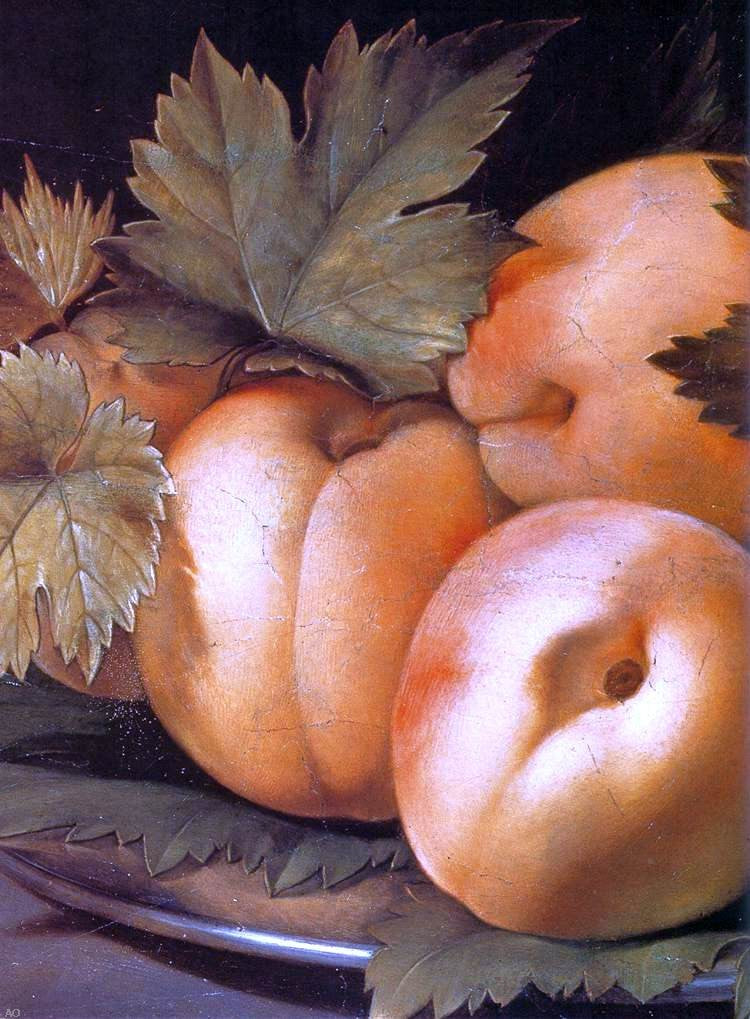  Giovanni Ambrogio Figino Metal Plate with Peaches and Vine Leaves (detail) - Canvas Print