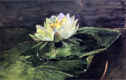  John La Farge Water Lily - Canvas Print