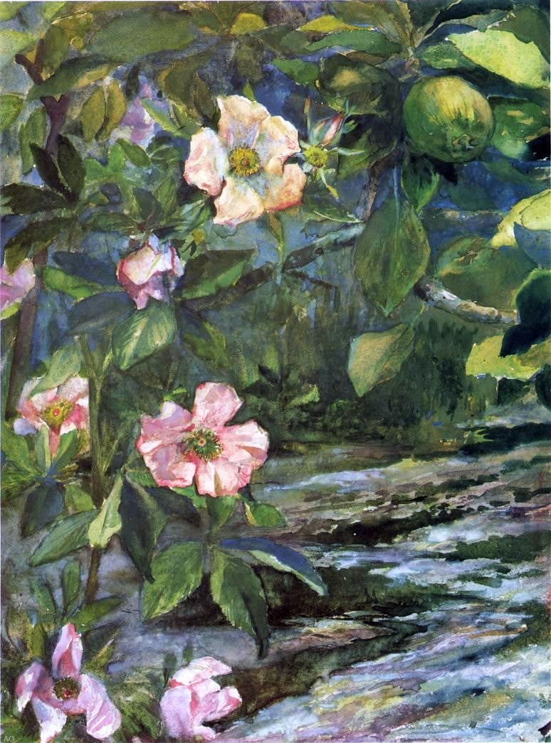  John La Farge Wild Roses - Canvas Print