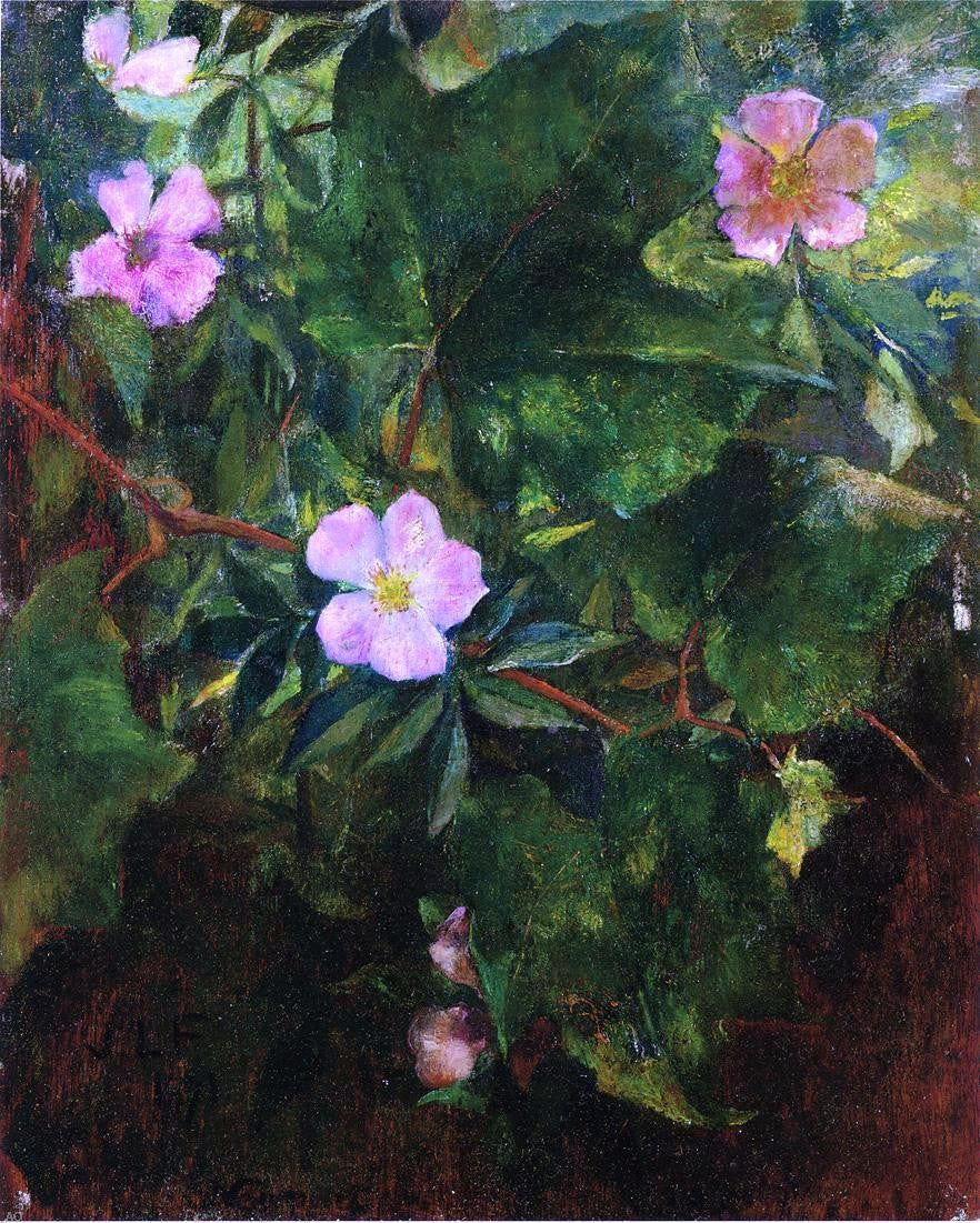  John La Farge Wild Roses and Grape Vine, Study from Nature - Canvas Print