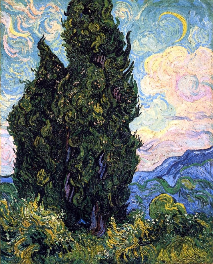  Vincent Van Gogh Cypresses - Canvas Print