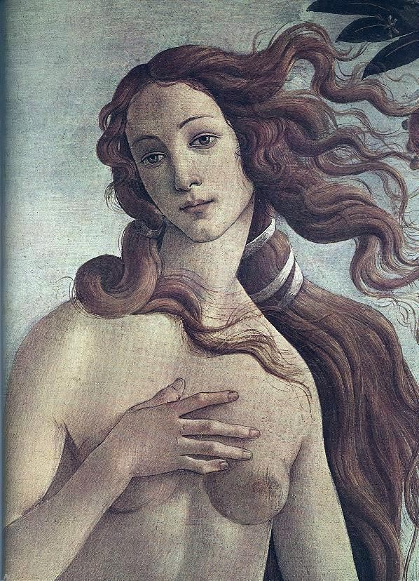  Sandro Botticelli The Birth of Venus [detail] - Canvas Print