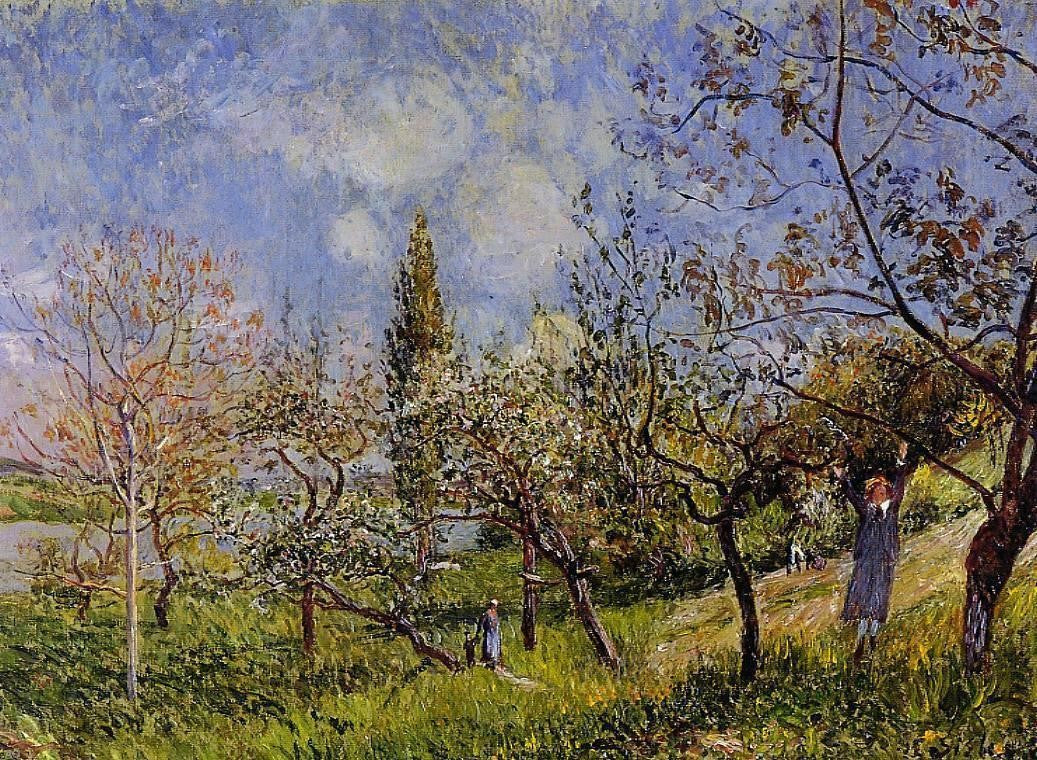  Alfred Sisley Orchard in Spring - By - Canvas Print