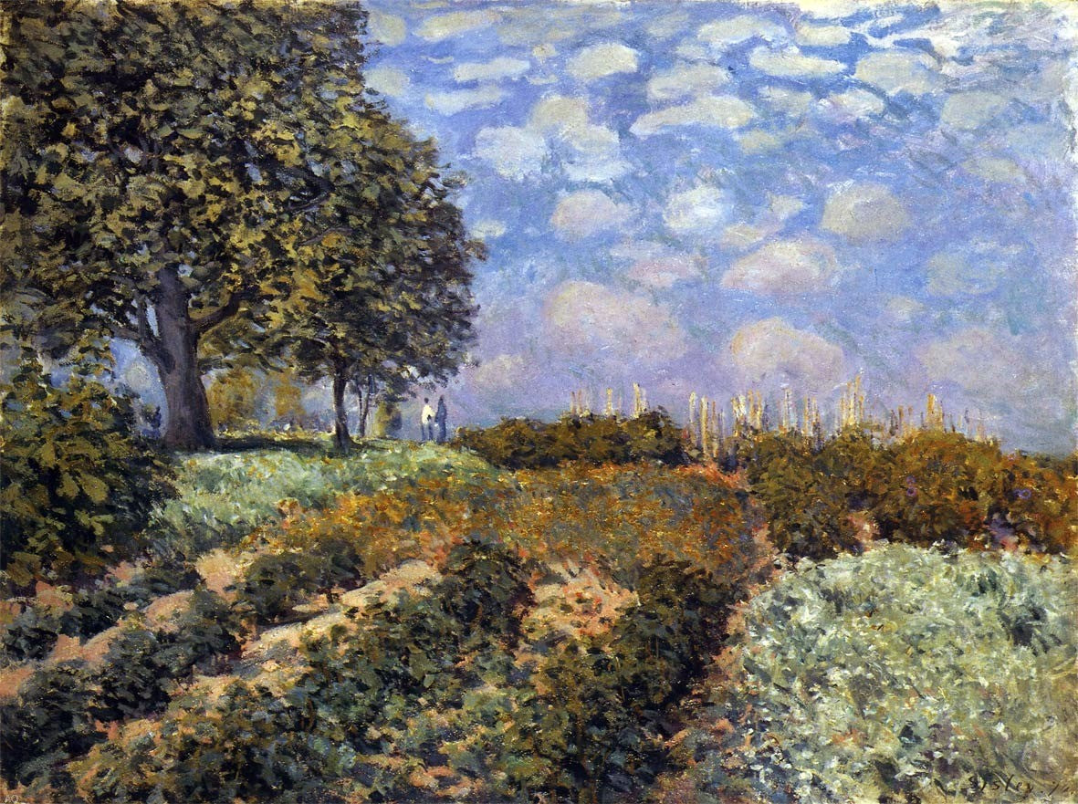  Alfred Sisley The Fields - Canvas Print