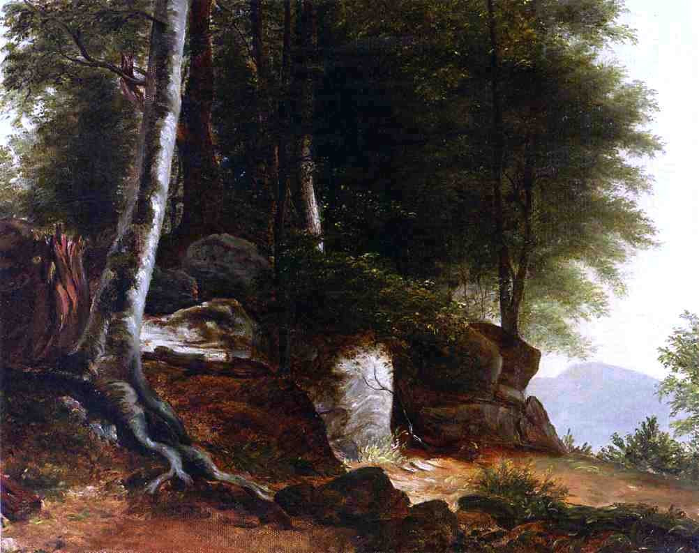  Asher Brown Durand Adirondacks - Canvas Print