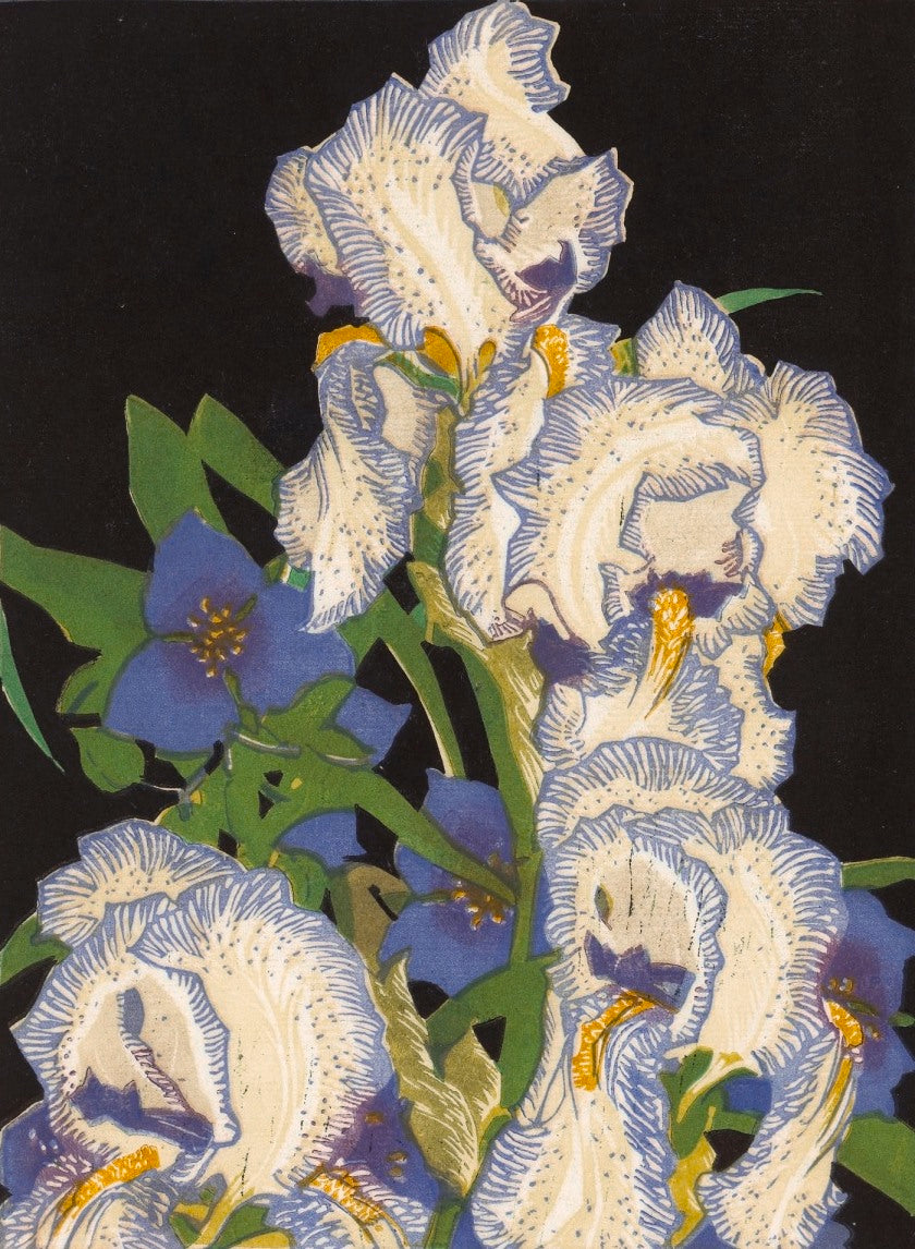 Franklin Carmichael Pencilled Irises - Canvas Print