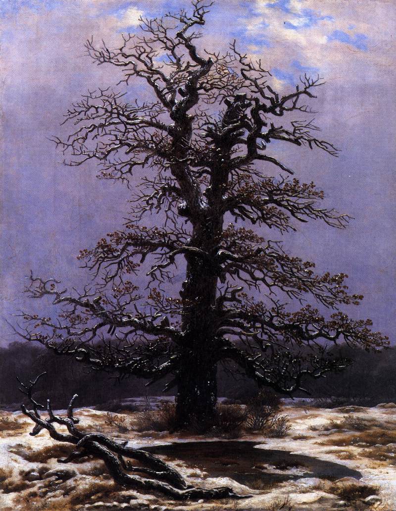 Caspar David Friedrich Oak in the Snow - Canvas Print