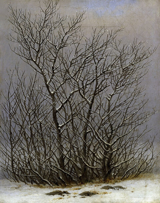 Caspar David Friedrich Trees and Bushes in the Snow - Canvas Print