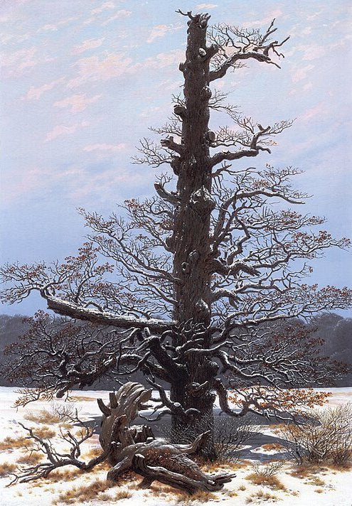 Caspar David Friedrich The Oaktree in the Snow - Canvas Print