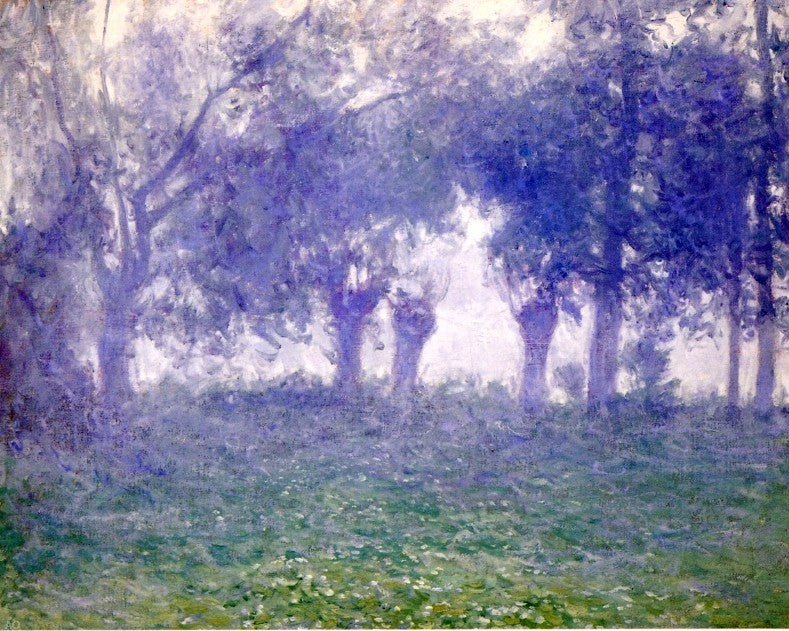  Guy Orlando Rose Morning Mist - Canvas Print