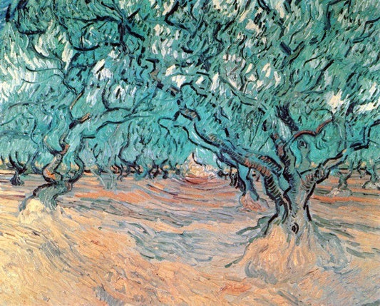  Vincent Van Gogh Olive Trees - Canvas Print