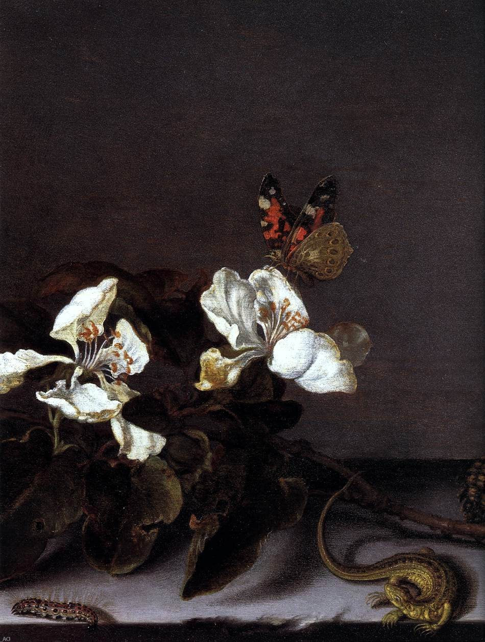  Balthasar Van der Ast Still-Life with Apple Blossoms (detail) - Canvas Print