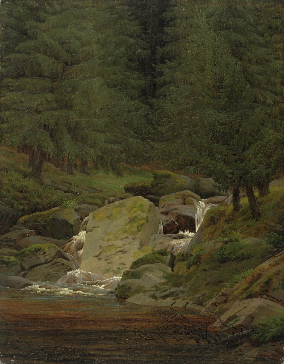 Caspar David Friedrich The Evergreens by the Waterfall - Canvas Print