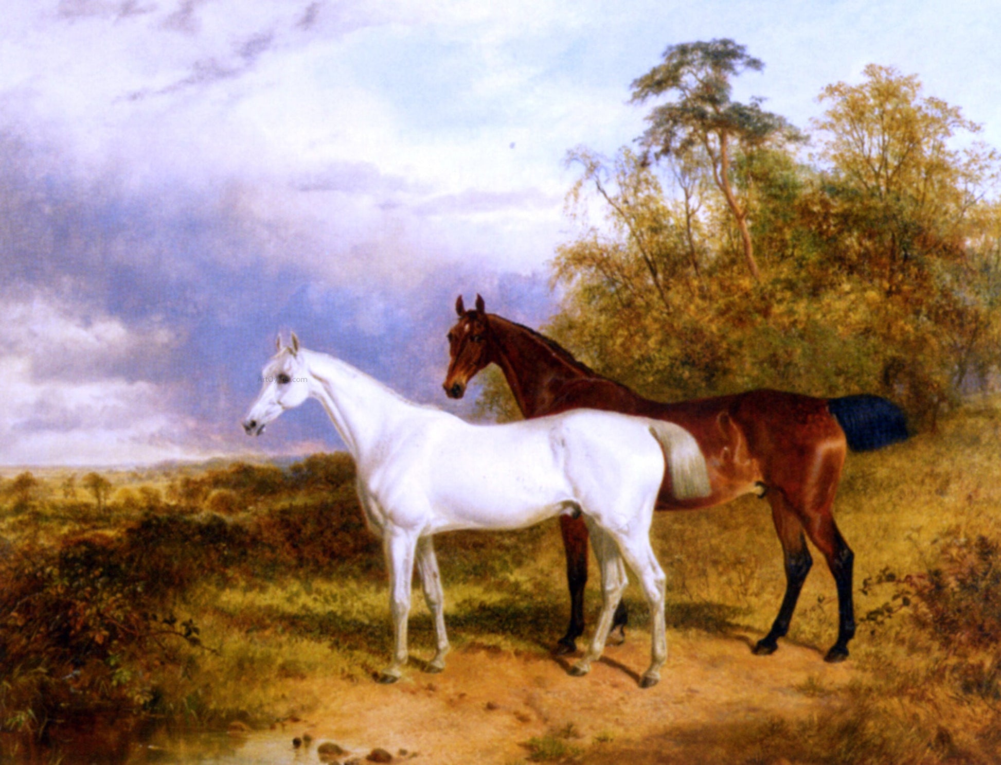  James Walsham Baldock A Bay and Grey Horse in a Landscape - Canvas Print
