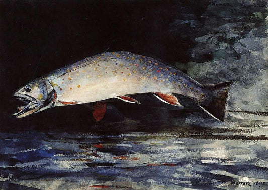  Winslow Homer A Brook Trout - Canvas Print