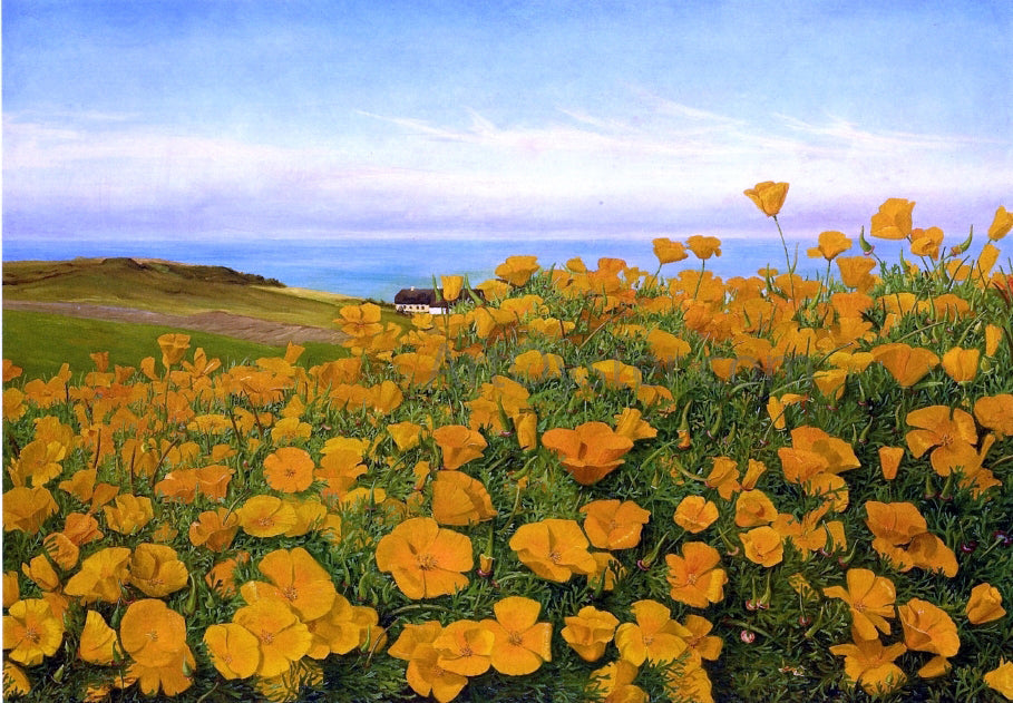 Johanne Louise Frimodt A Field of Buttercups by the Coast - Canvas Print
