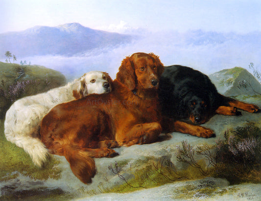  George W Horlor A Golden Retriever, Irish Setter, and a Gordon Setter in a Mountainous Landscape - Canvas Print