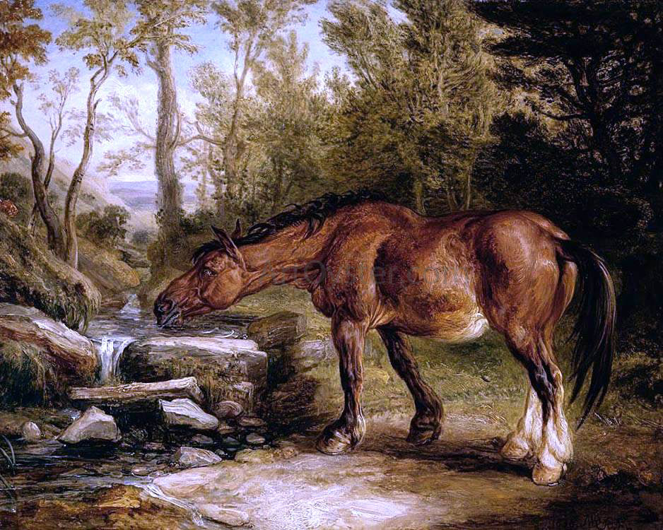  James Ward A Horse Drinking at a Stream - Canvas Print