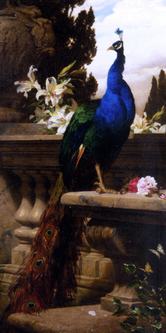 Gyula Juluis De Benczur A Peacock in a Classical Landscape with Lillies and Roses - Canvas Print