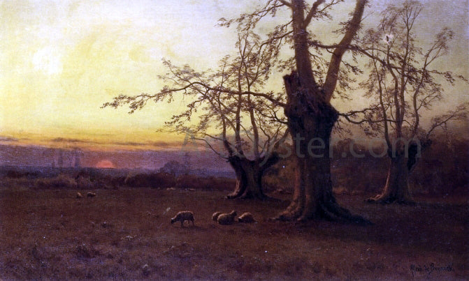  Senior Alfred De Breanski A Spring Evening, Burnham Beeches - Canvas Print