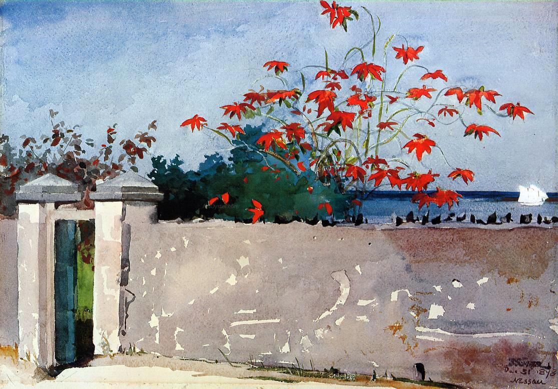  Winslow Homer A Wall, Nassau - Canvas Print